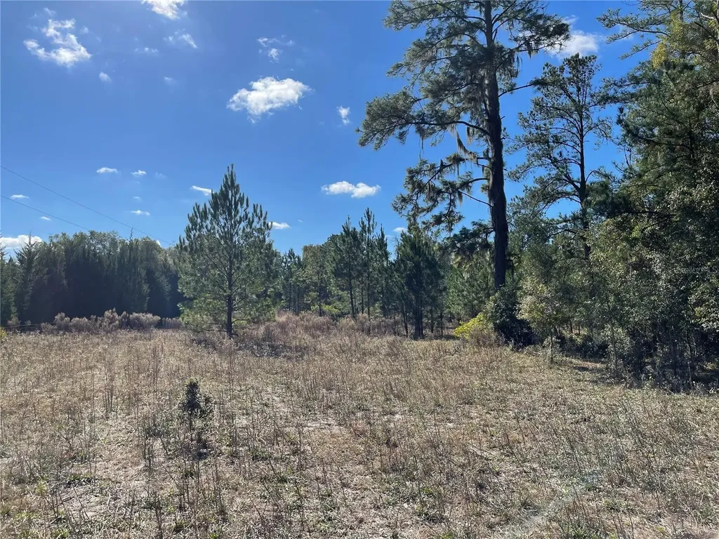 24510 NE State Road 26 Melrose FL 32666