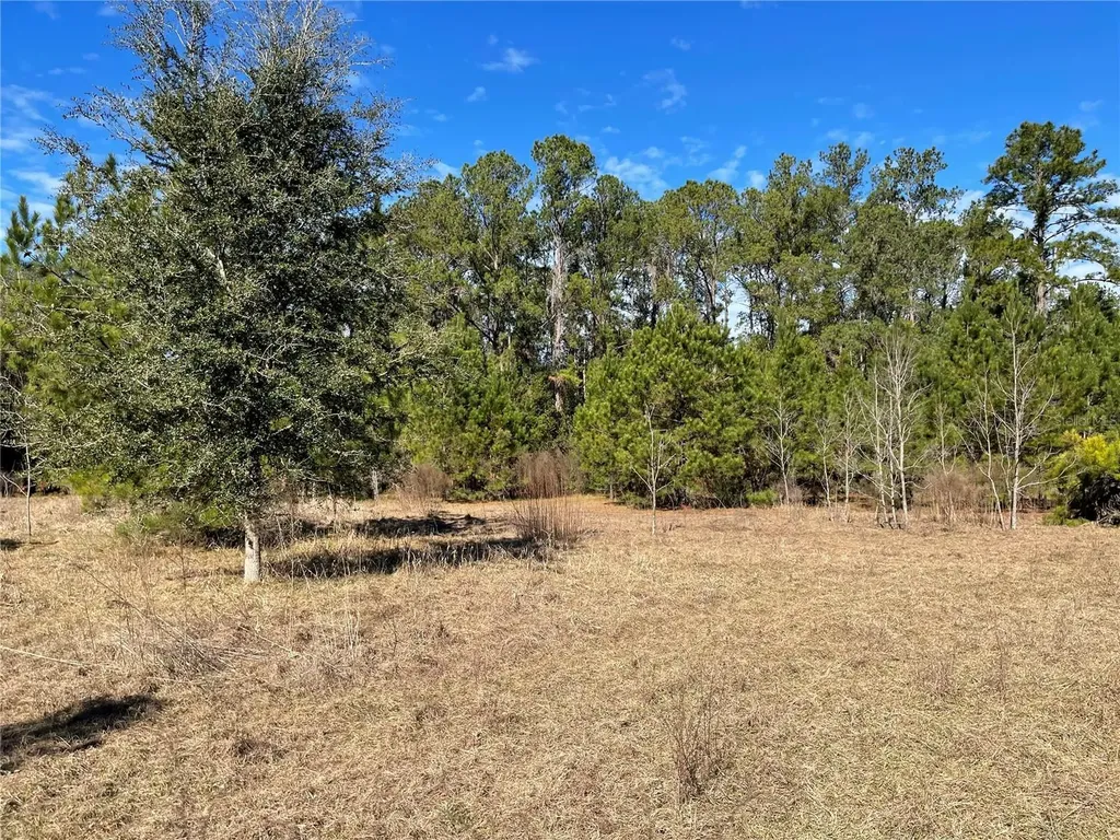 24510 NE State Road 26 Melrose FL 32666