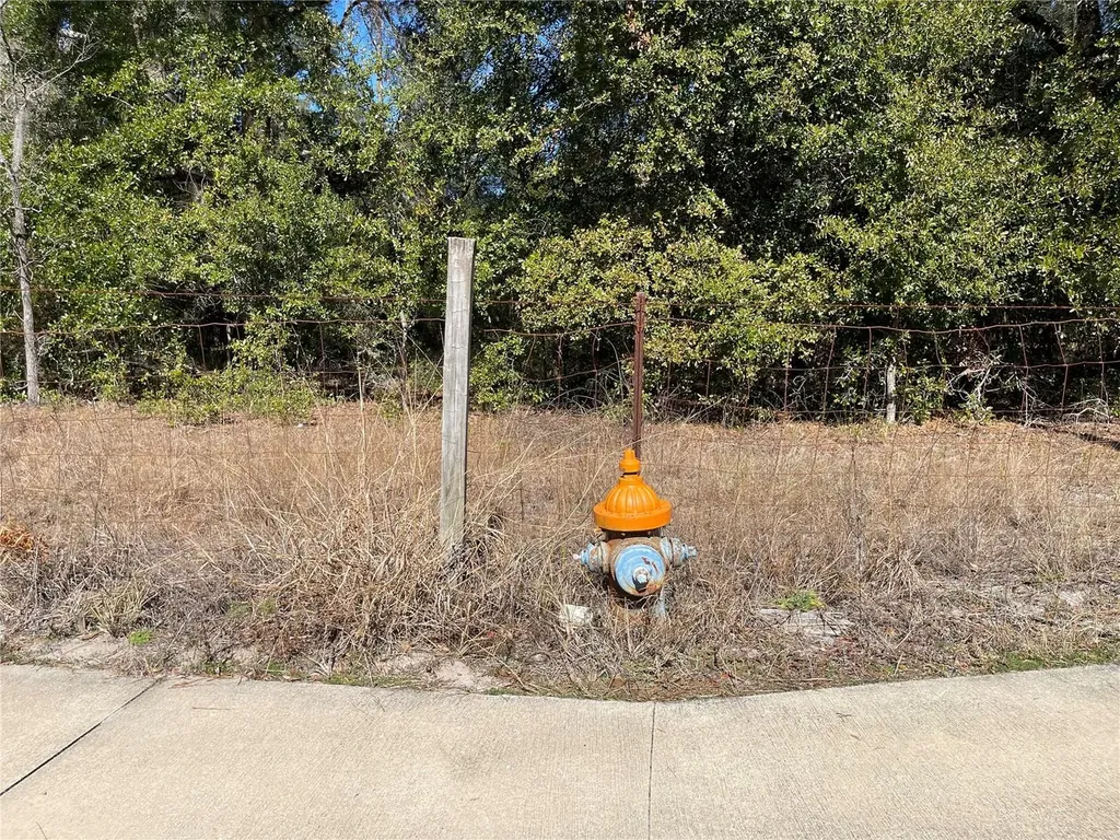 24510 NE State Road 26 Melrose FL 32666