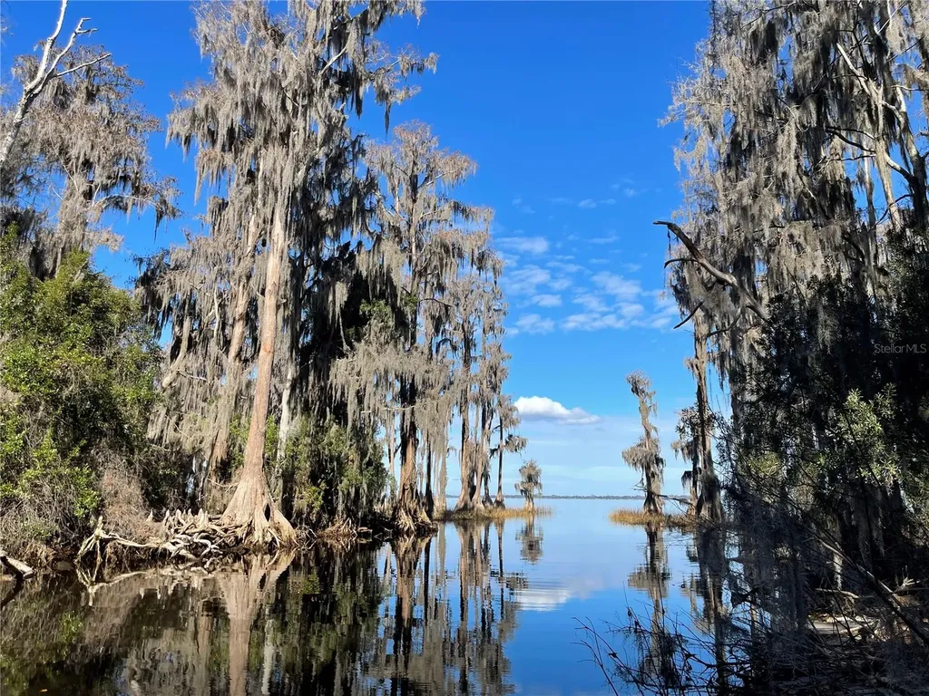 24510 NE State Road 26 Melrose FL 32666