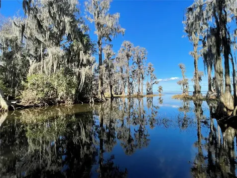 24510 NE State Road 26 Melrose FL 32666