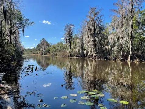 24510 NE State Road 26 Melrose FL 32666