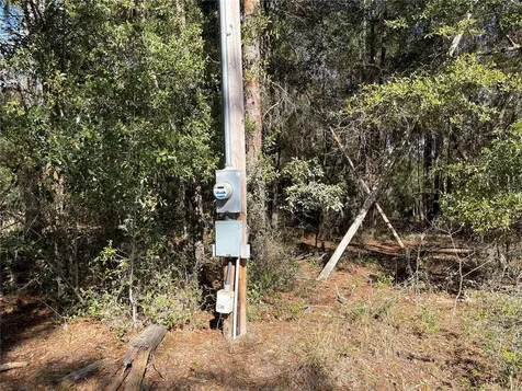 24510 NE State Road 26 Melrose FL 32666