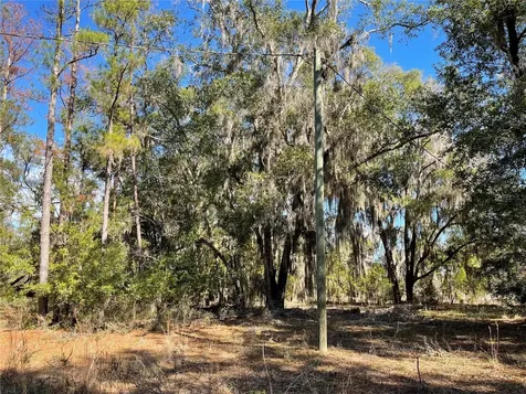 24510 NE State Road 26 Melrose FL 32666