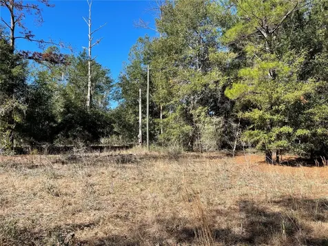 24510 NE State Road 26 Melrose FL 32666