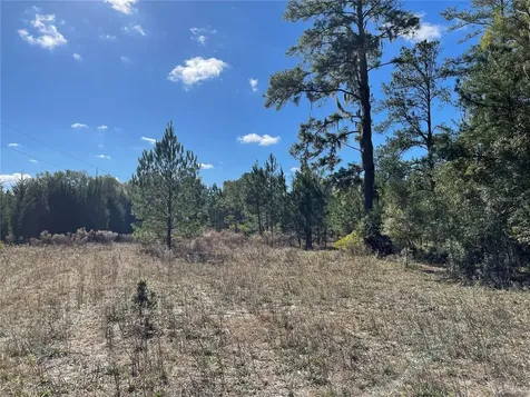 24510 NE State Road 26 Melrose FL 32666