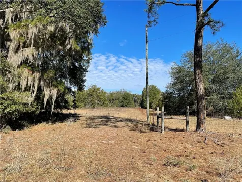 24510 NE State Road 26 Melrose FL 32666