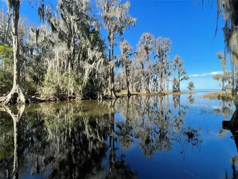 24510 NE State Road 26 Melrose FL 32666