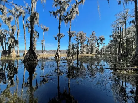 24510 NE State Road 26 Melrose FL 32666