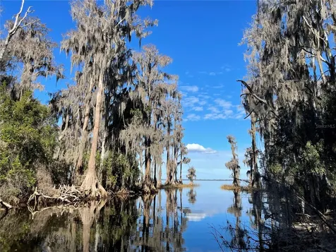 24510 NE State Road 26 Melrose FL 32666