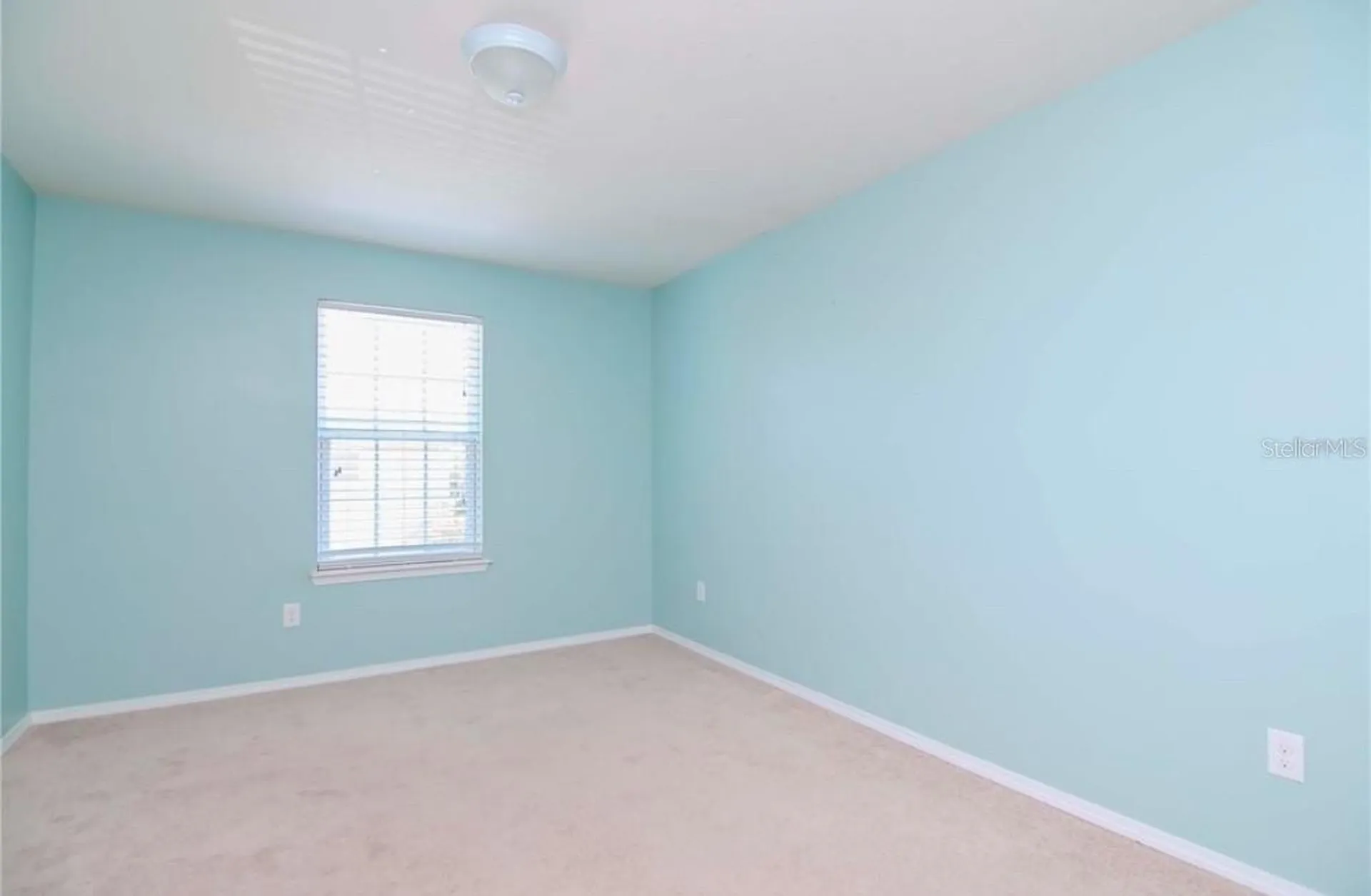 8951 Turnstone Haven Place Tampa FL 33619