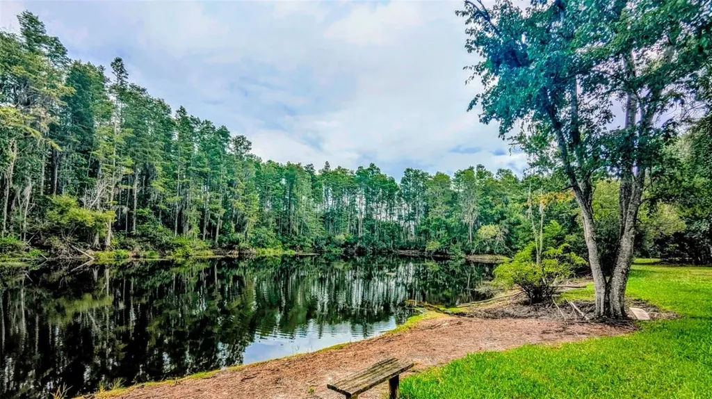 12155 Environmental Drive New Port Richey FL 34654