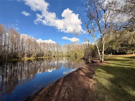 12155 Environmental Drive New Port Richey FL 34654