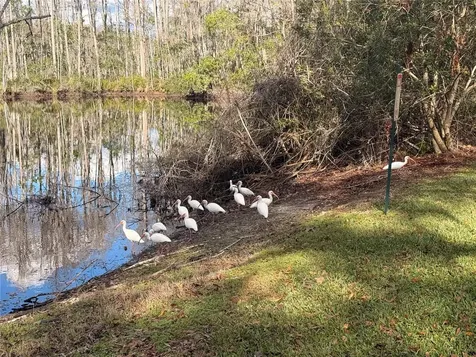 12155 Environmental Drive New Port Richey FL 34654