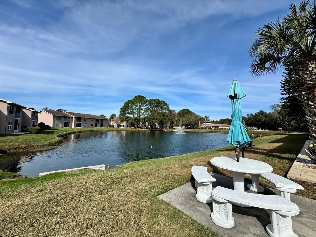 6527 Spring Flower Drive New Port Richey FL 34653