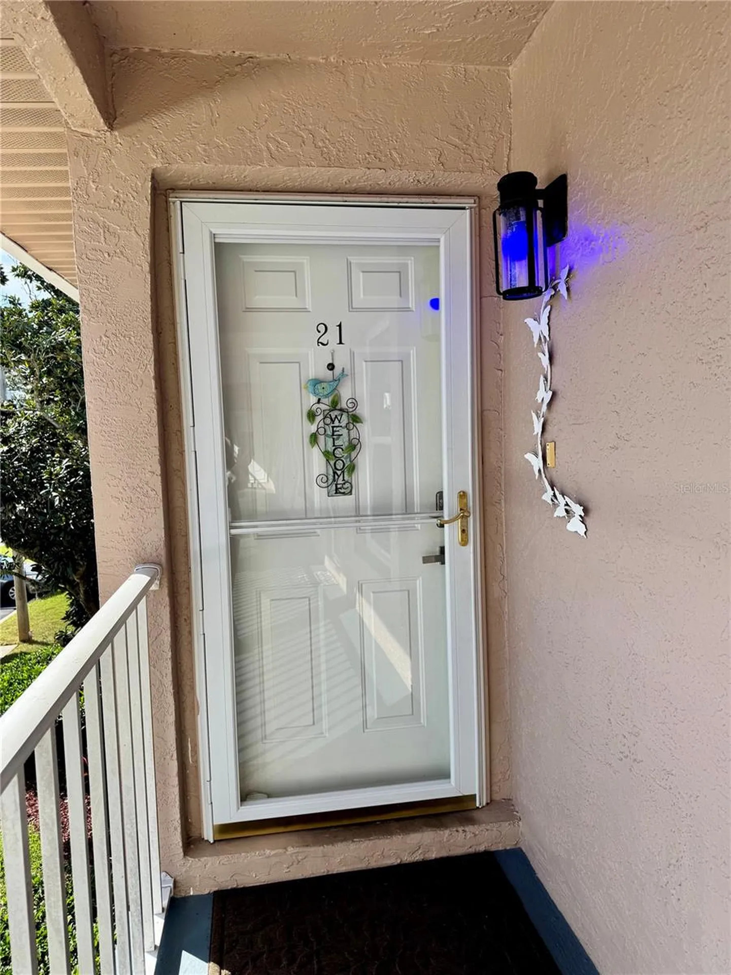 6527 Spring Flower Drive New Port Richey FL 34653