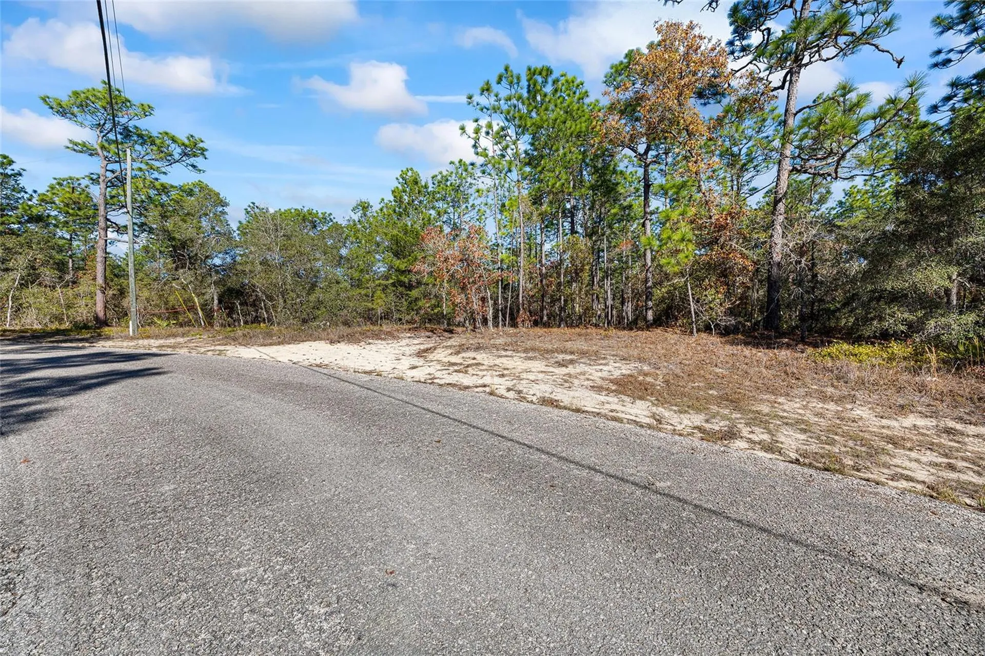 8941 N Farrington Drive Citrus Springs FL 34433