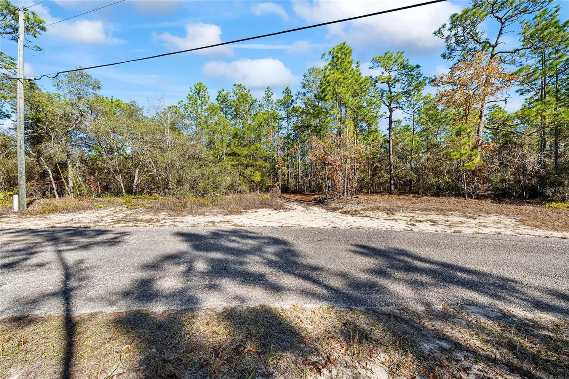 8941 N Farrington Drive Citrus Springs FL 34433