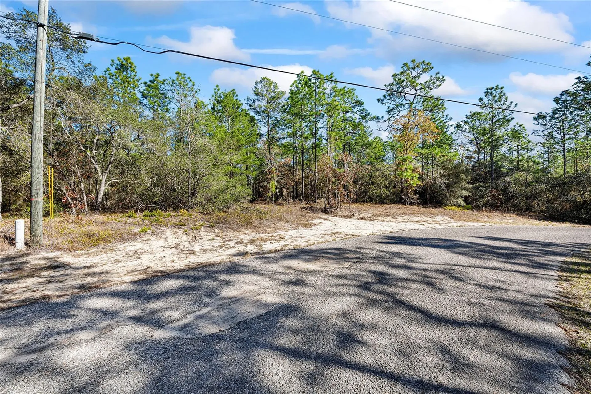 8941 N Farrington Drive Citrus Springs FL 34433