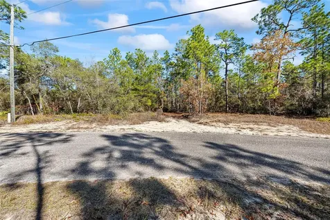 8941 N Farrington Drive Citrus Springs FL 34433