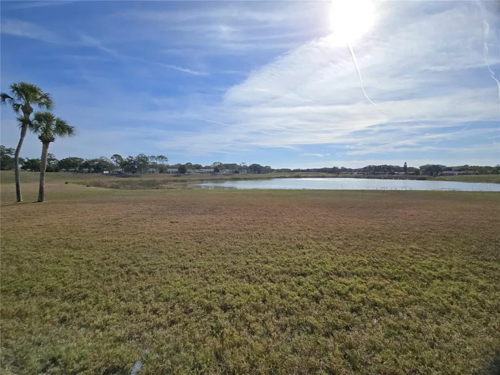 11130 Carriage Hill Drive Port Richey FL 34668