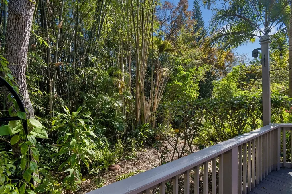 401 Old Mill Pond Road Palm Harbor FL 34683