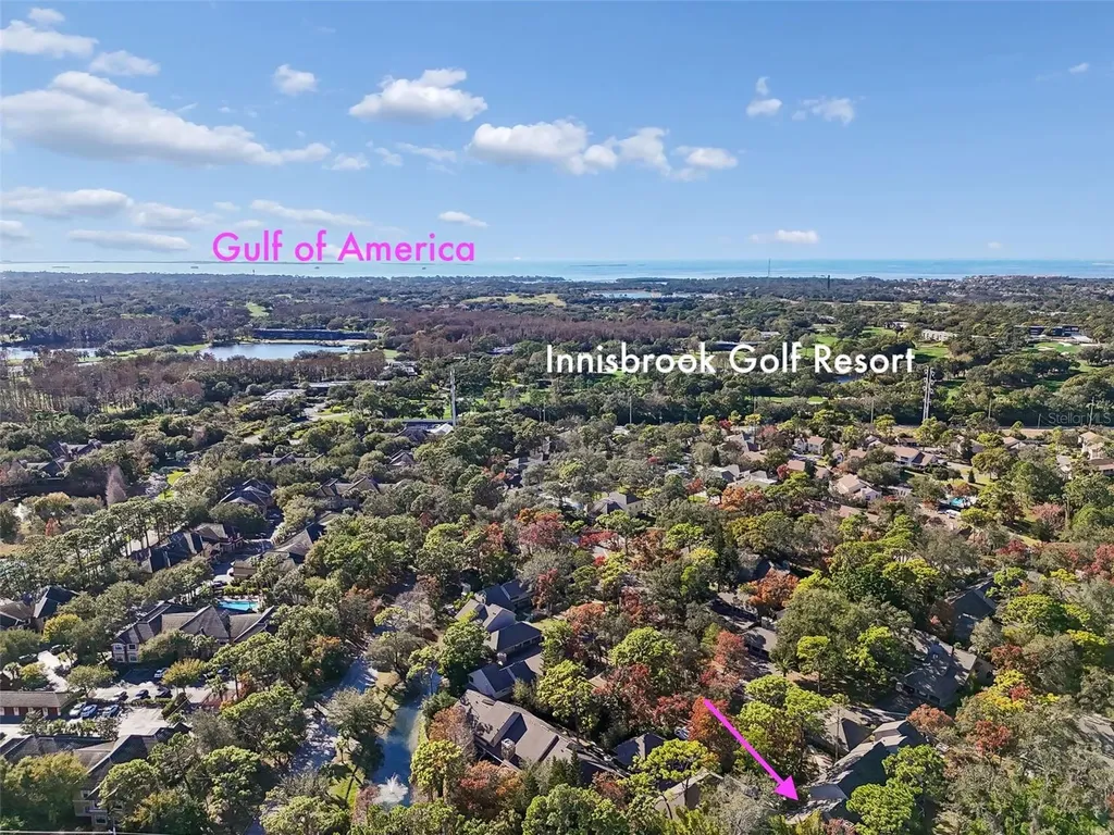 401 Old Mill Pond Road Palm Harbor FL 34683