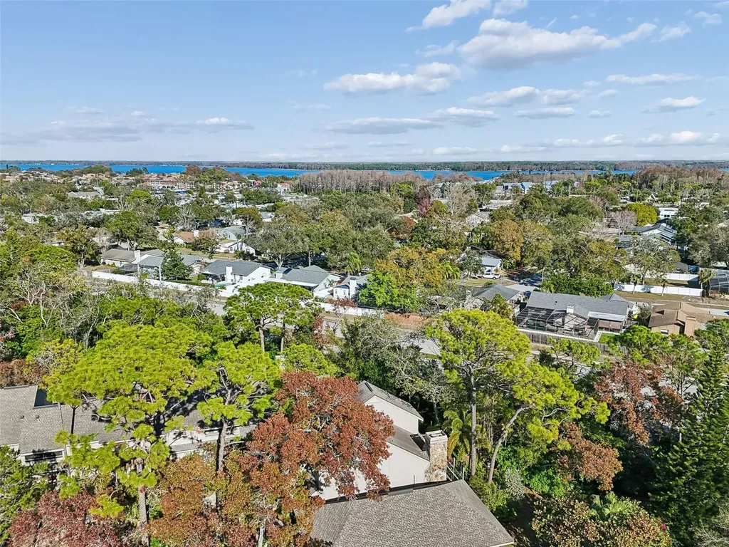 401 Old Mill Pond Road Palm Harbor FL 34683