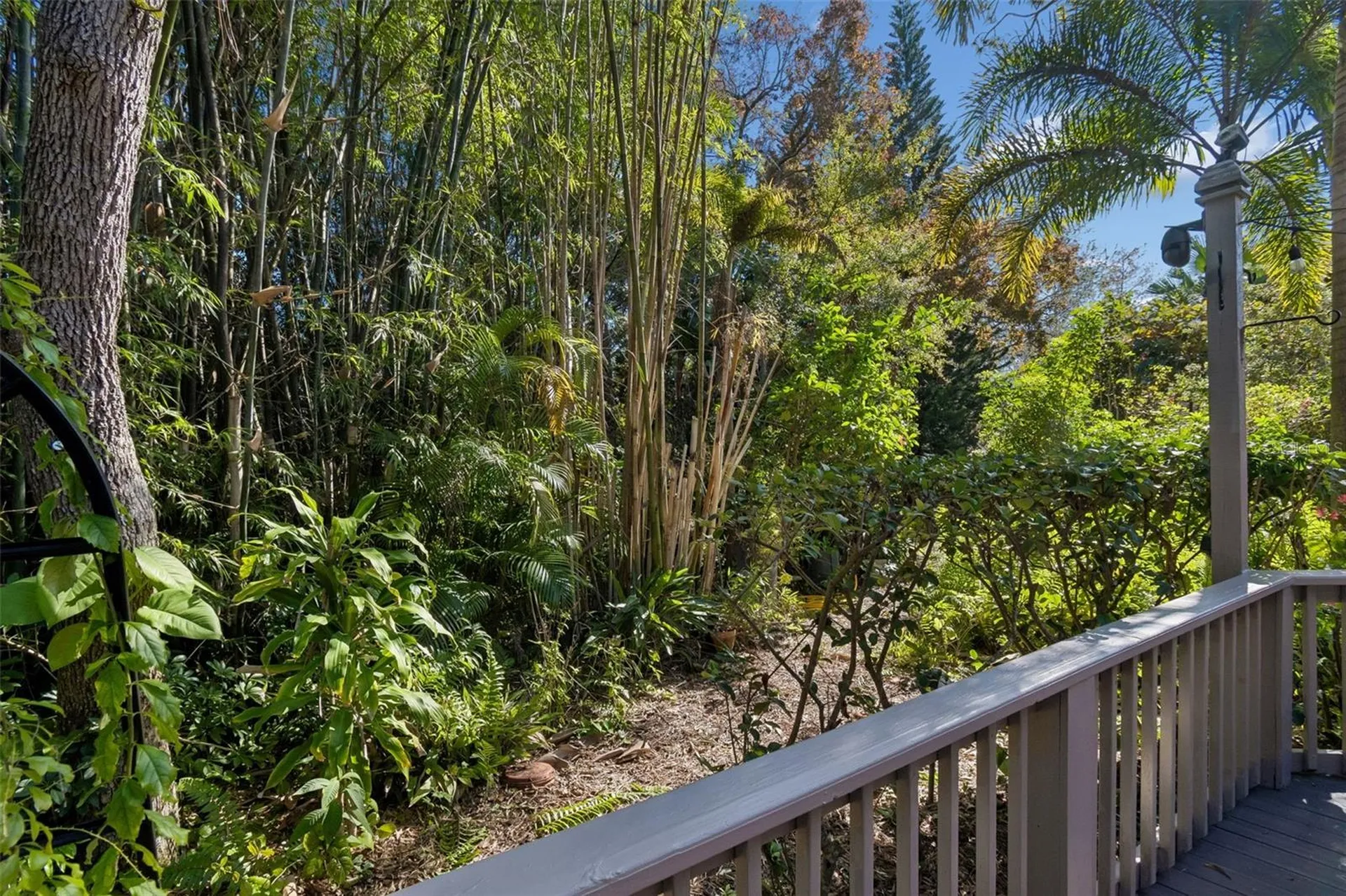 401 Old Mill Pond Road Palm Harbor FL 34683