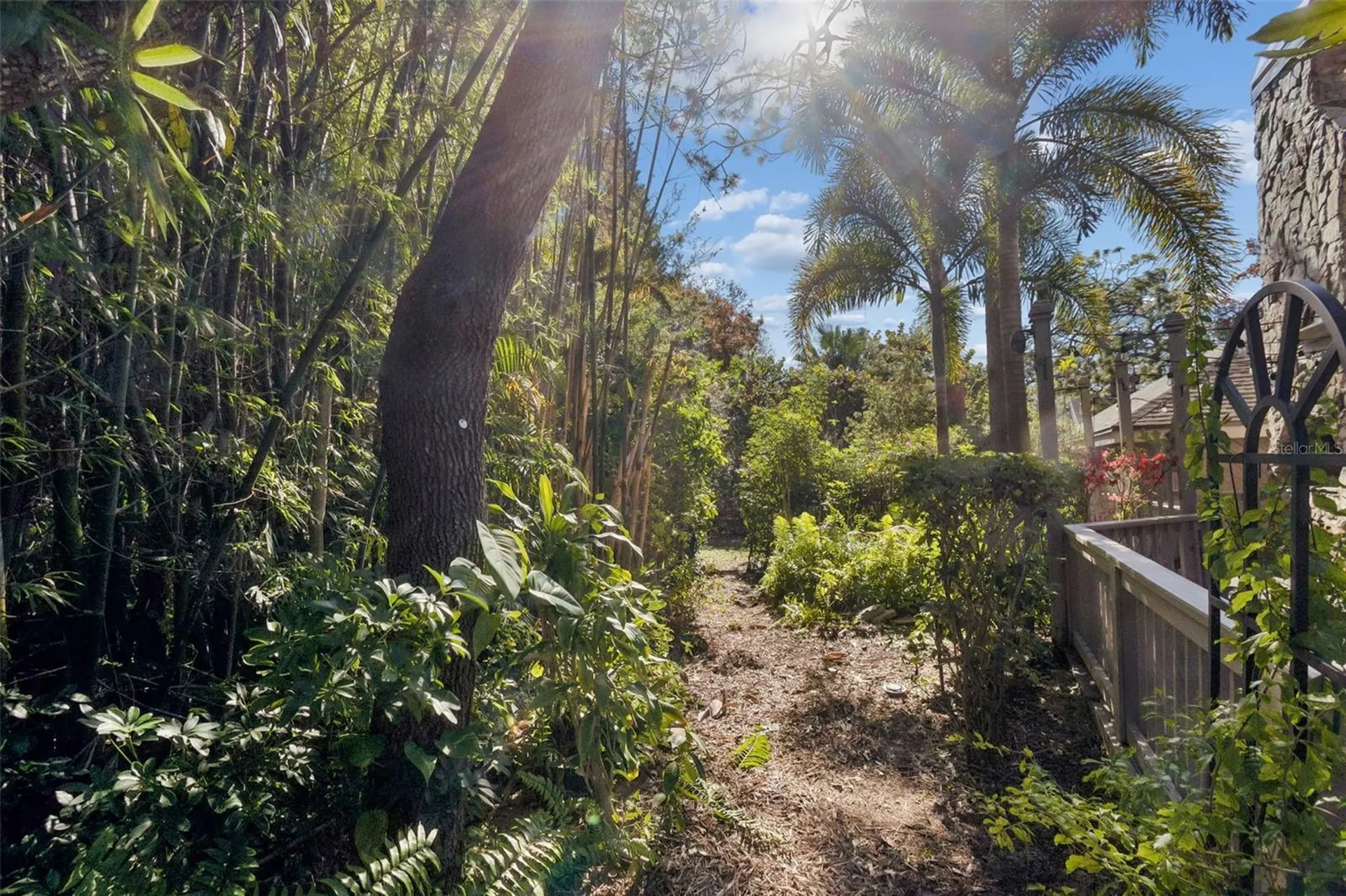401 Old Mill Pond Road Palm Harbor FL 34683