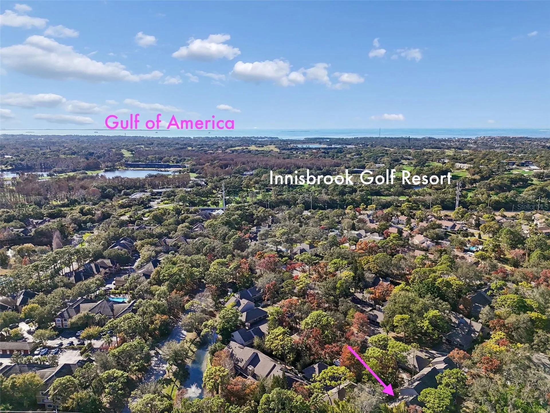 401 Old Mill Pond Road Palm Harbor FL 34683