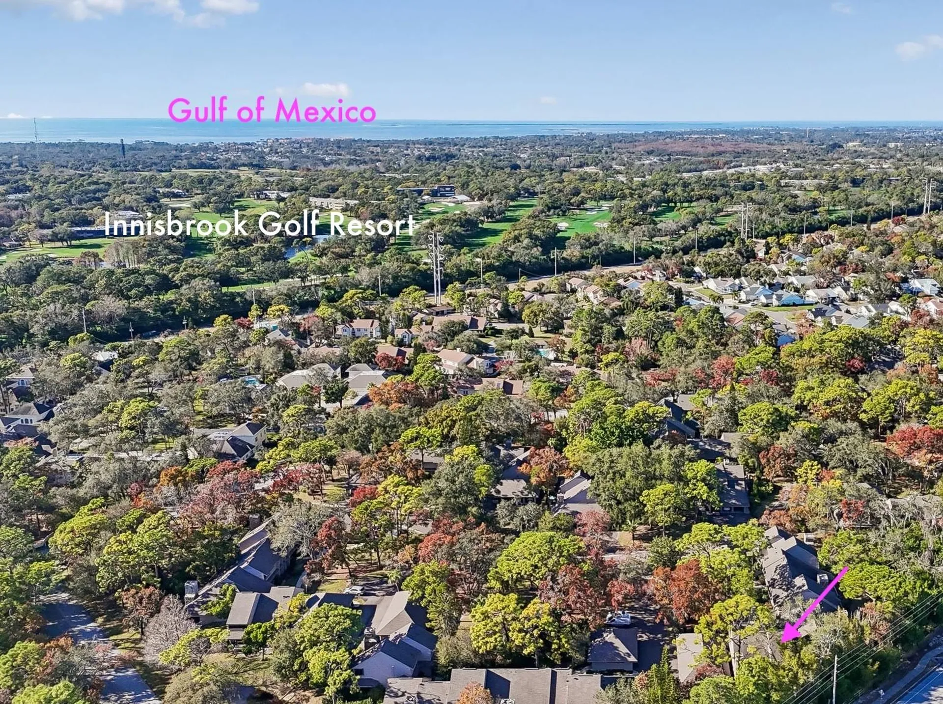 401 Old Mill Pond Road Palm Harbor FL 34683