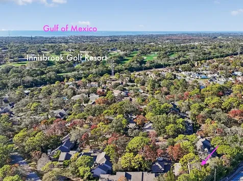 401 Old Mill Pond Road Palm Harbor FL 34683