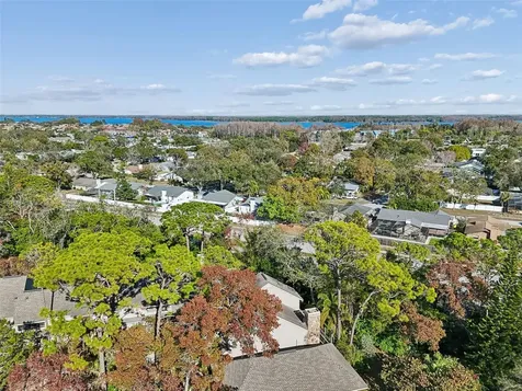 401 Old Mill Pond Road Palm Harbor FL 34683