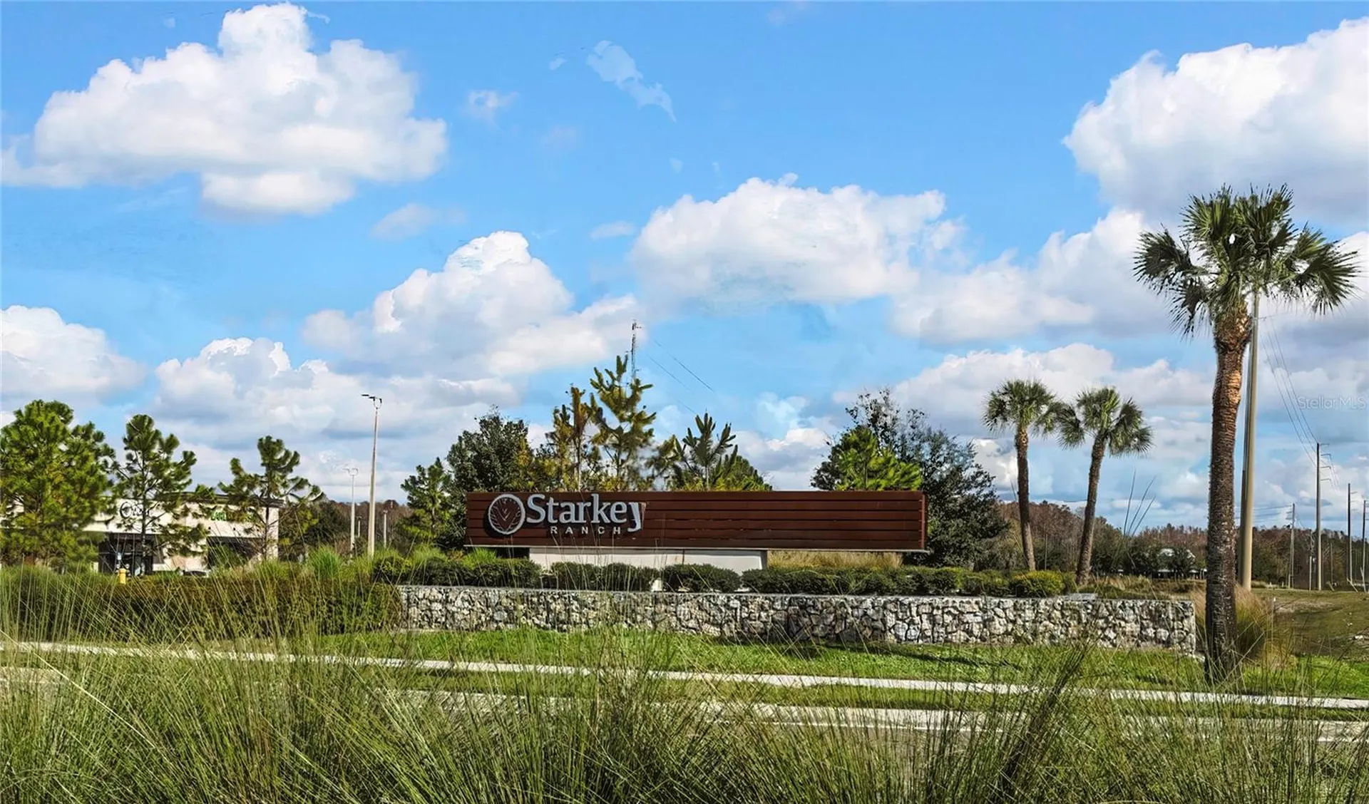 11470 Bitola Drive Odessa FL 33556
