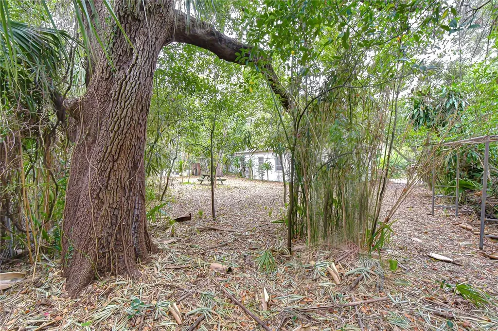 3008 S Emerson Street Tampa FL 33629
