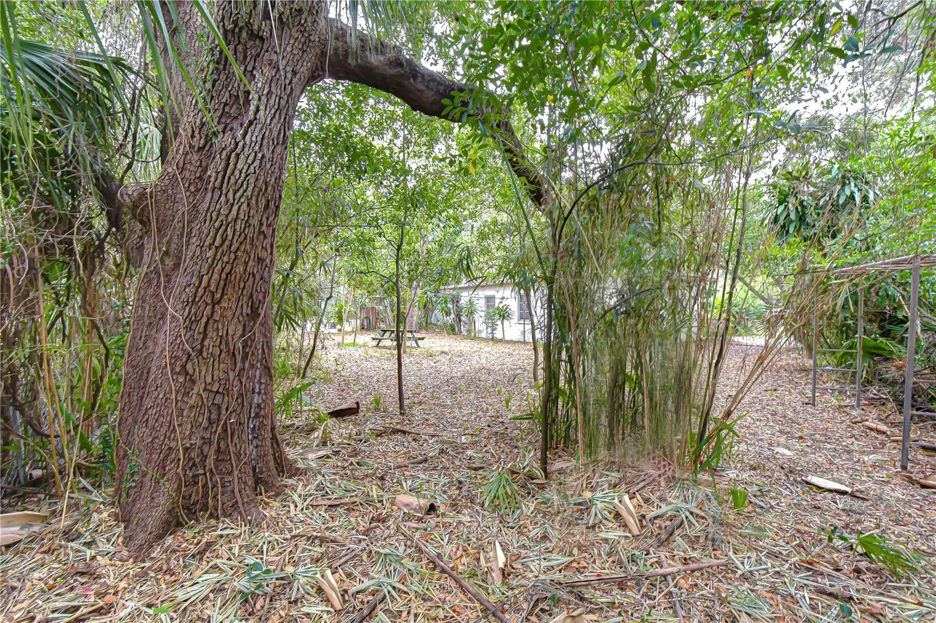 3008 S Emerson Street Tampa FL 33629