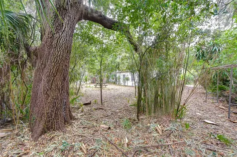 3008 S Emerson Street Tampa FL 33629