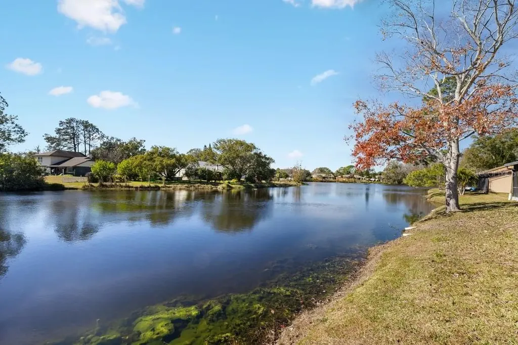 4071 Shoreside Circle Tampa FL 33618