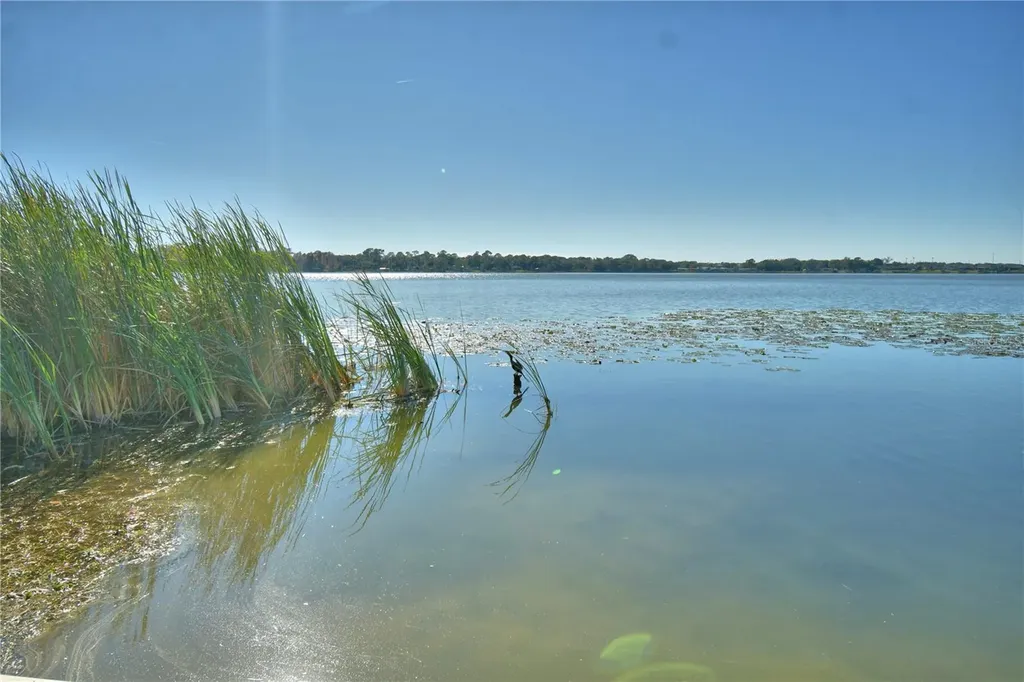 1935 Regina Drive Lake Alfred FL 33850