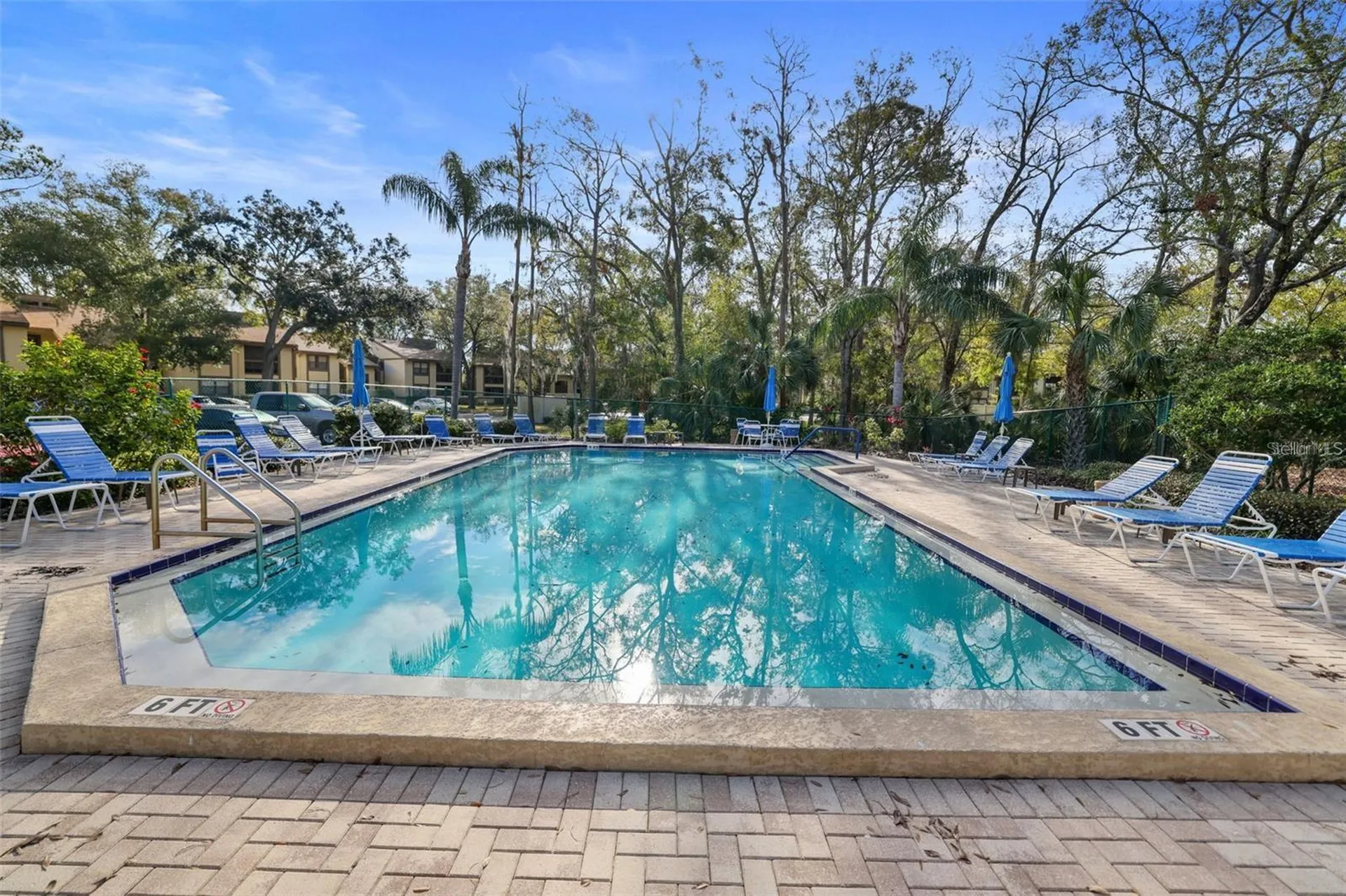 113 Woodlake Wynde Oldsmar FL 34677