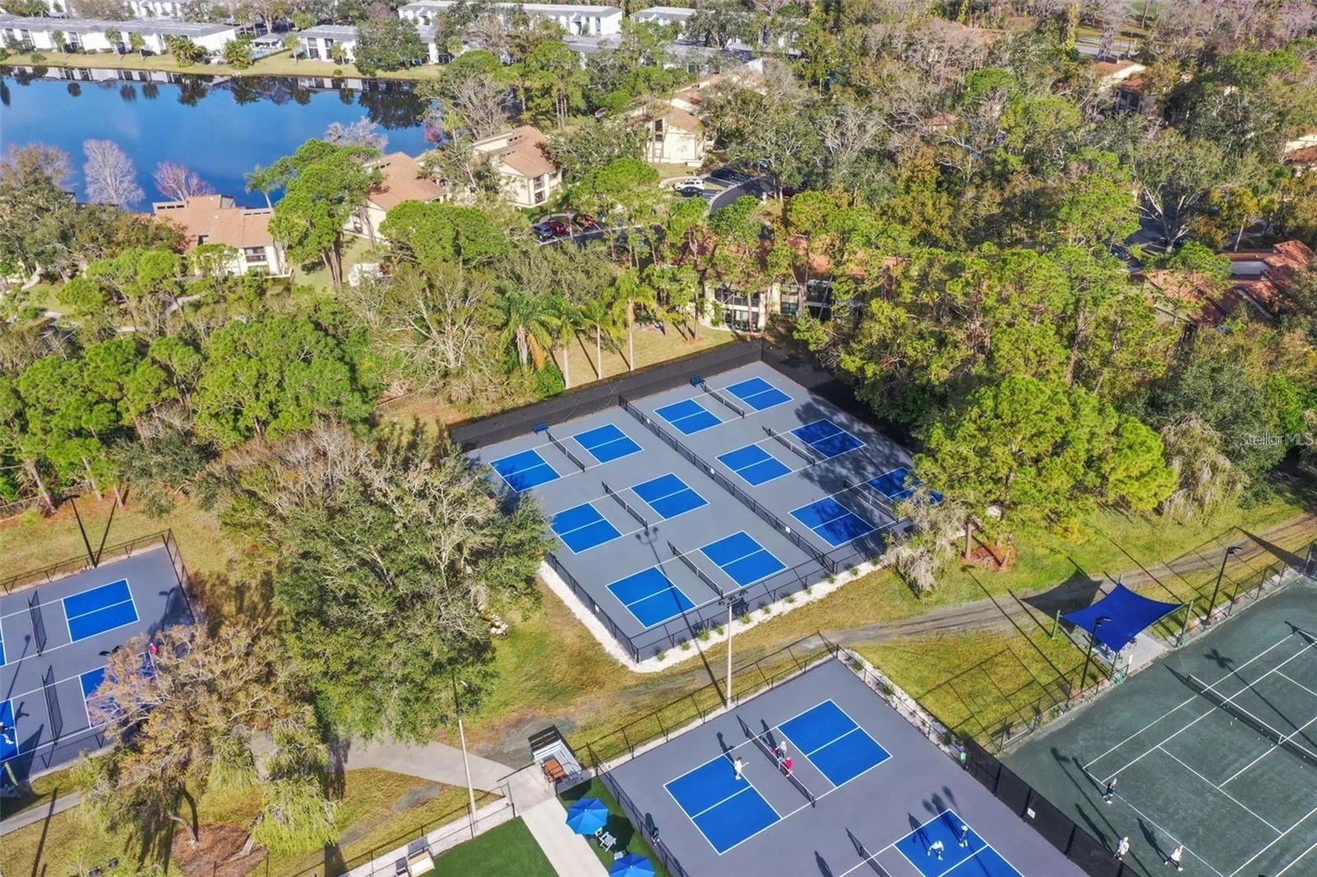 113 Woodlake Wynde Oldsmar FL 34677
