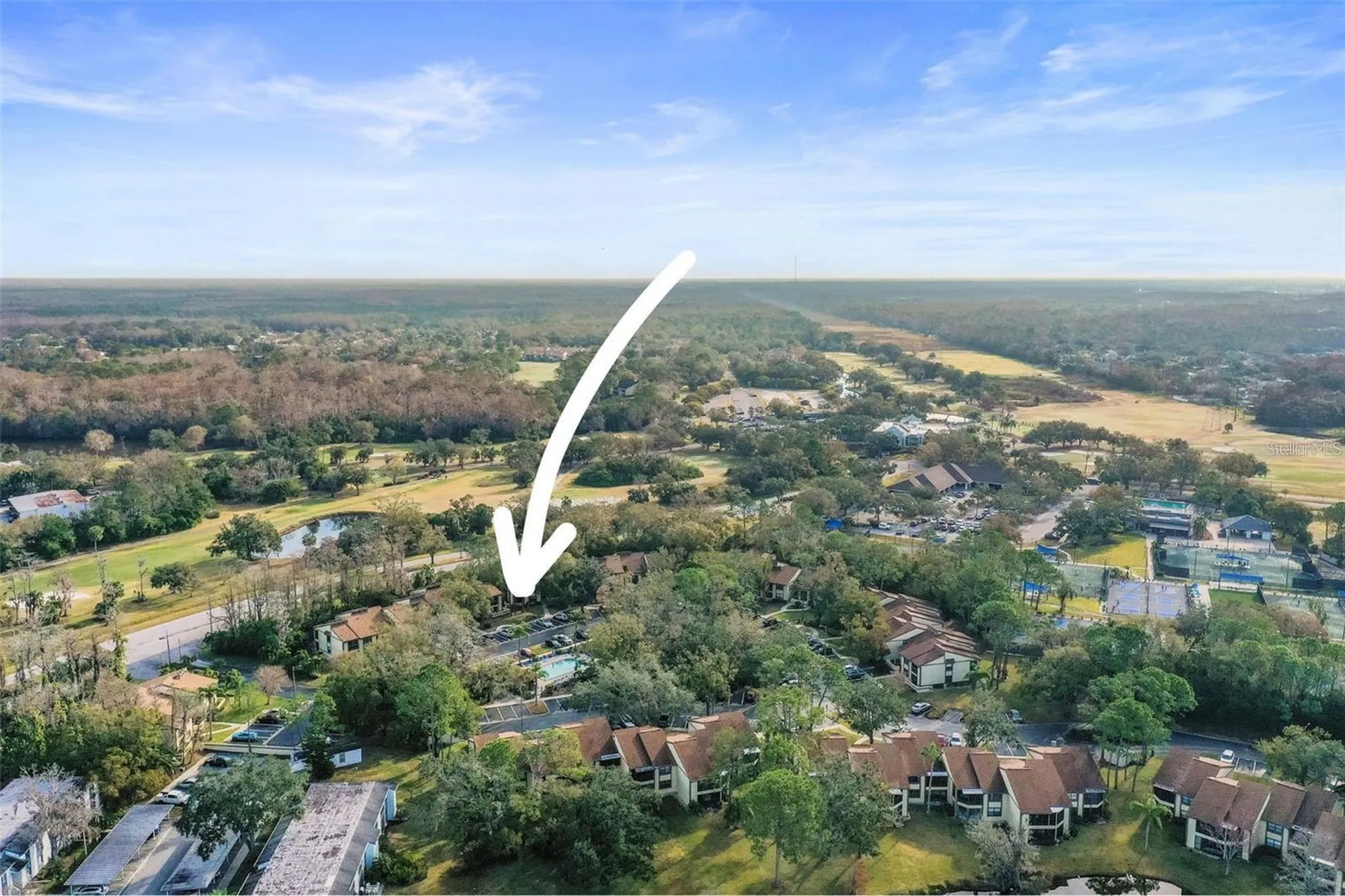 113 Woodlake Wynde Oldsmar FL 34677