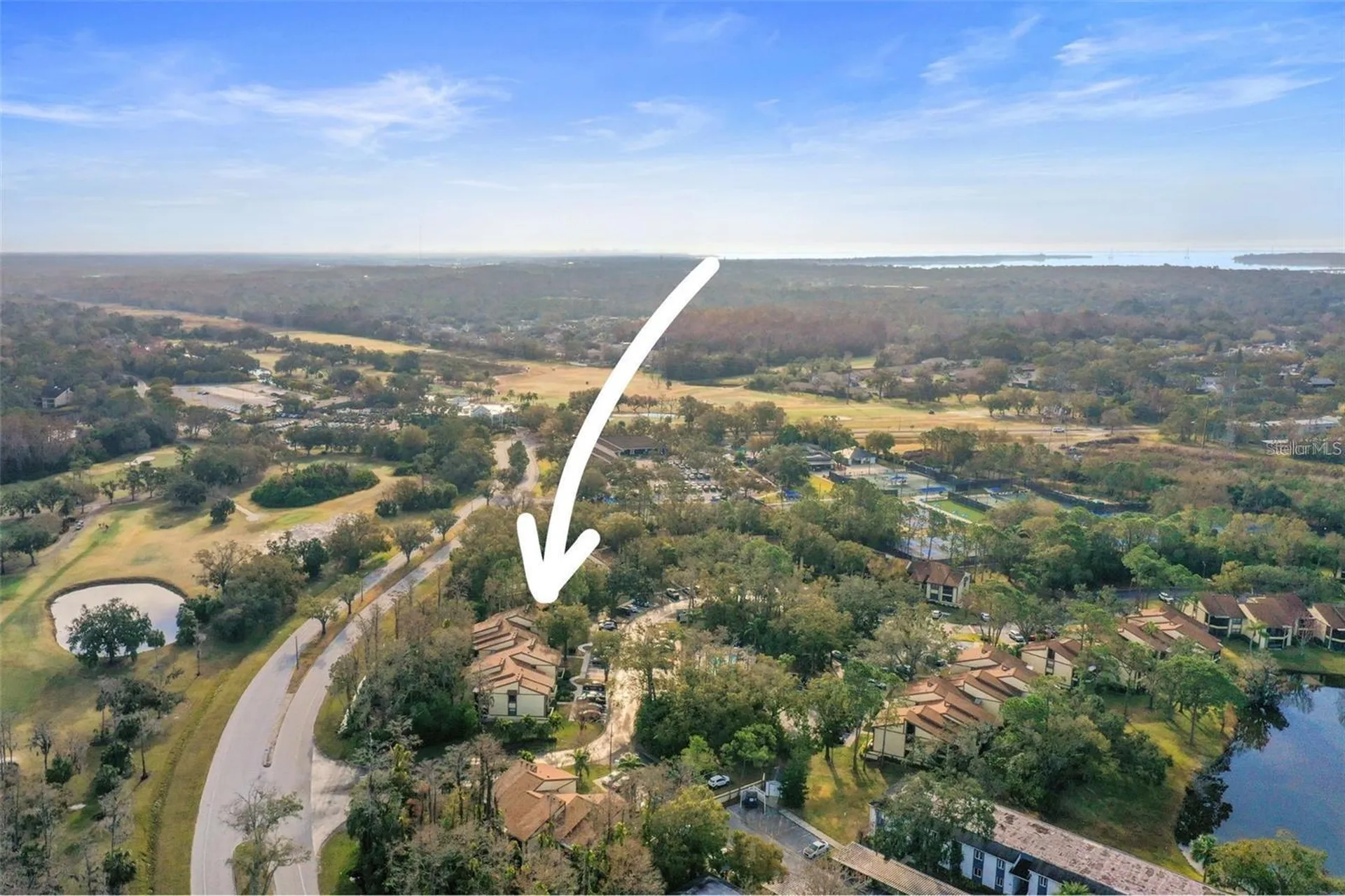 113 Woodlake Wynde Oldsmar FL 34677