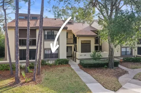 113 Woodlake Wynde Oldsmar FL 34677