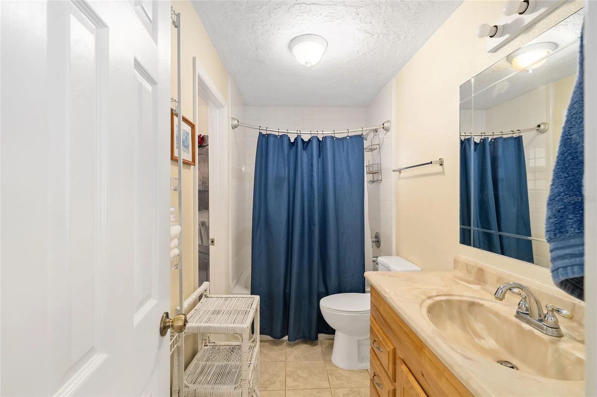 3251 SE 143rd Place Summerfield FL 34491