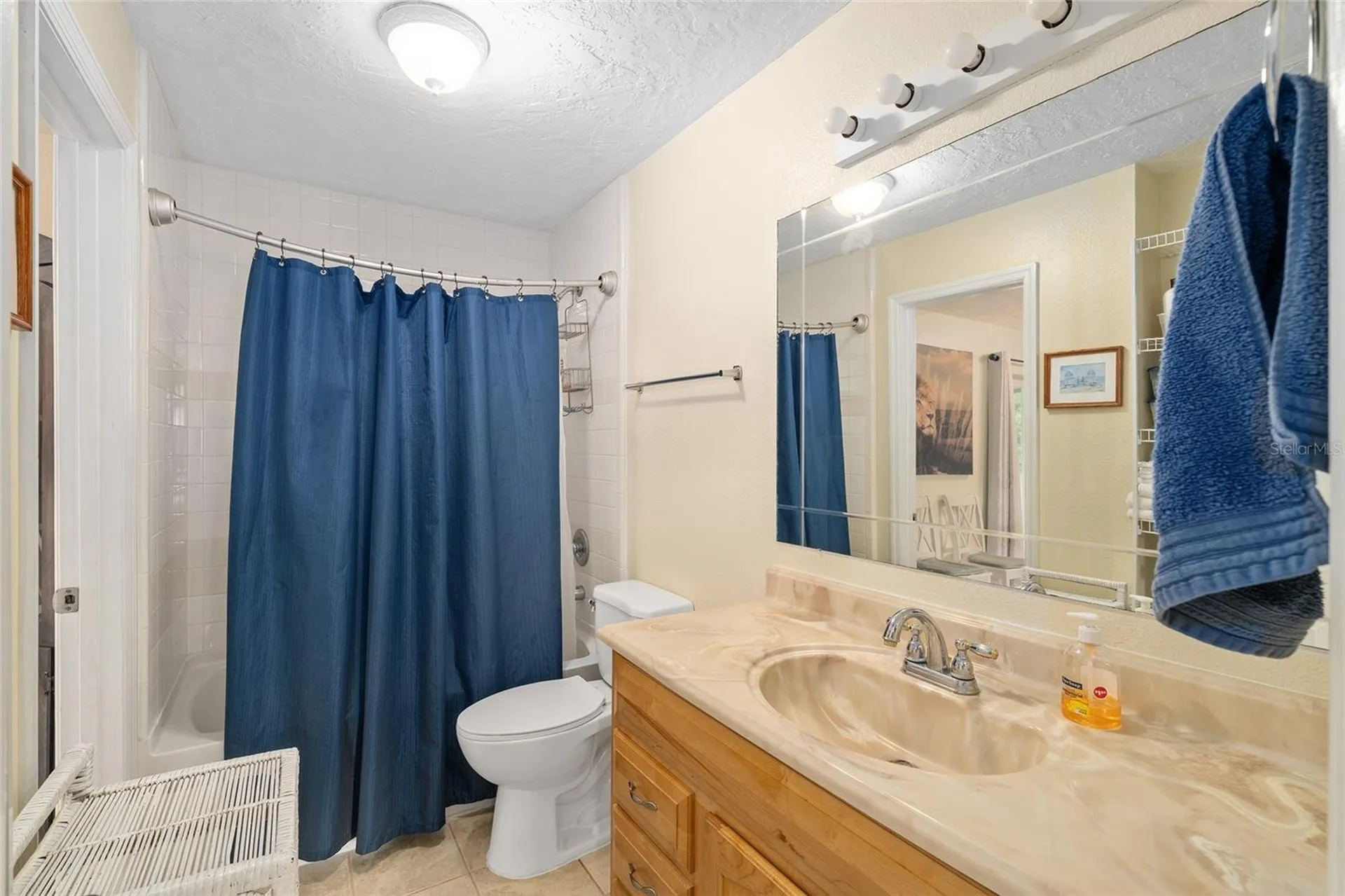 3251 SE 143rd Place Summerfield FL 34491