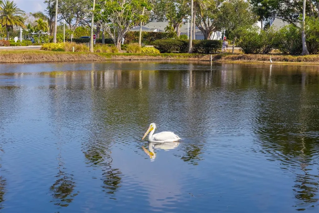 837 Audubon Drive Bradenton FL 34209