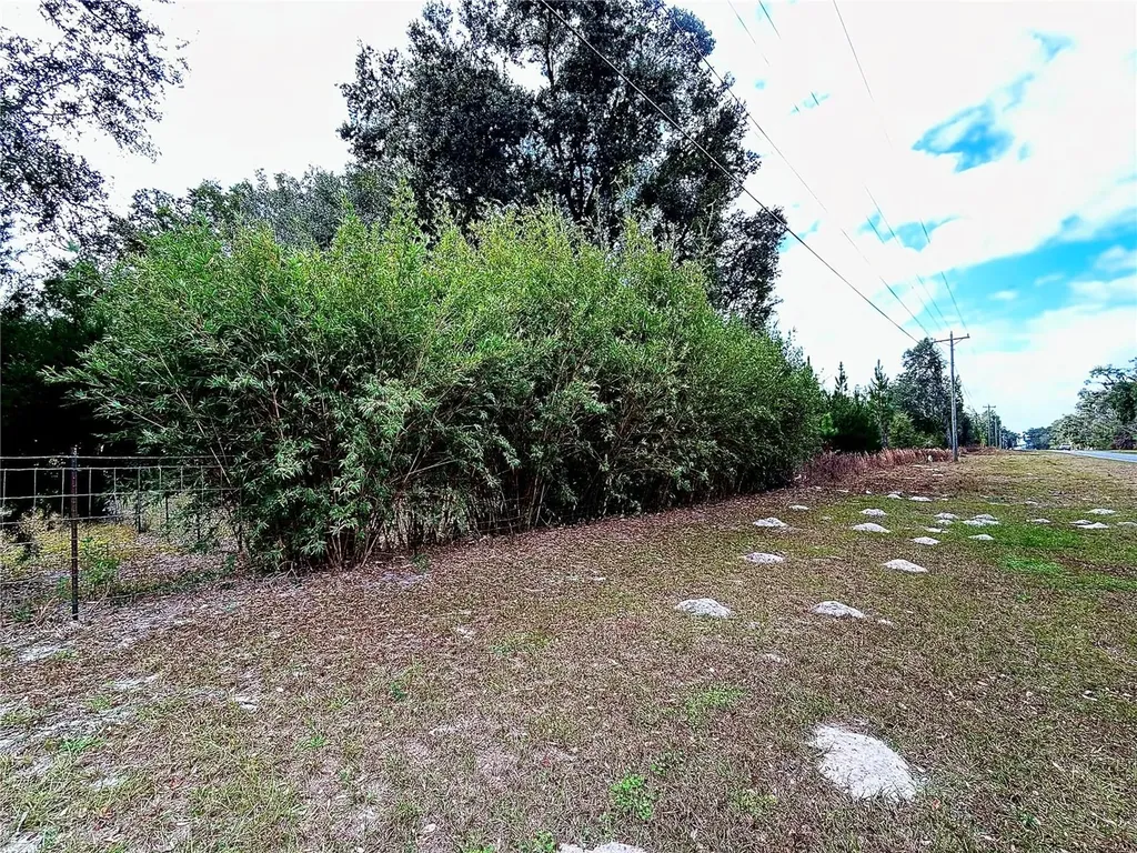 0 NW 60th Street Chiefland FL 32626
