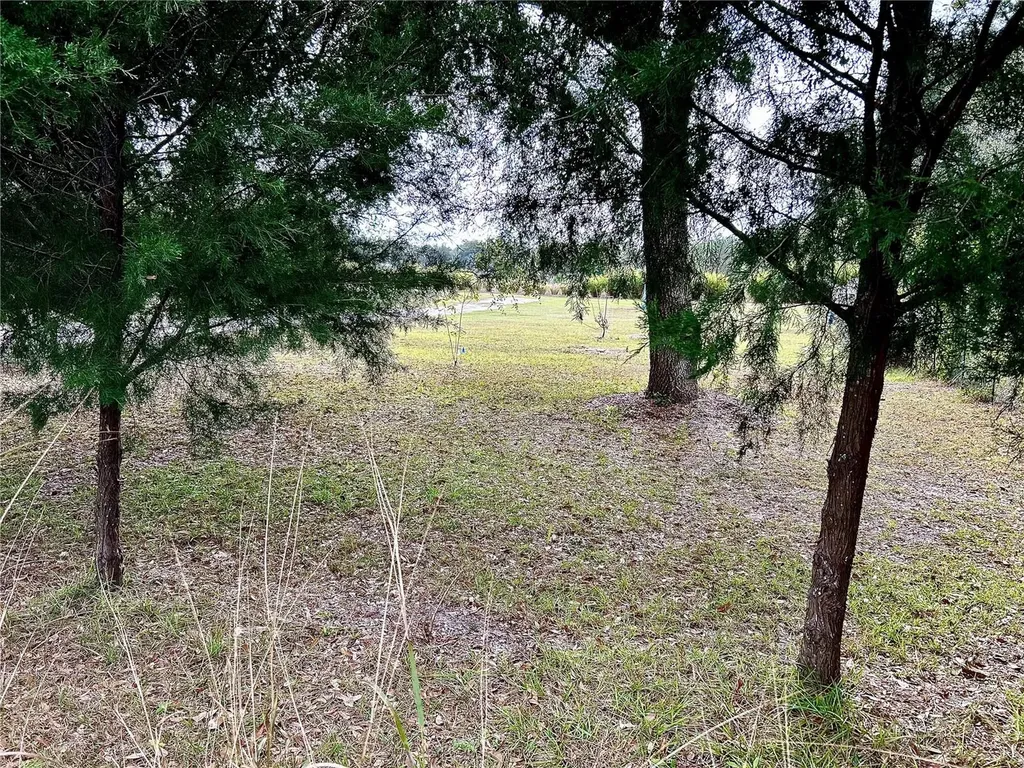 0 NW 60th Street Chiefland FL 32626